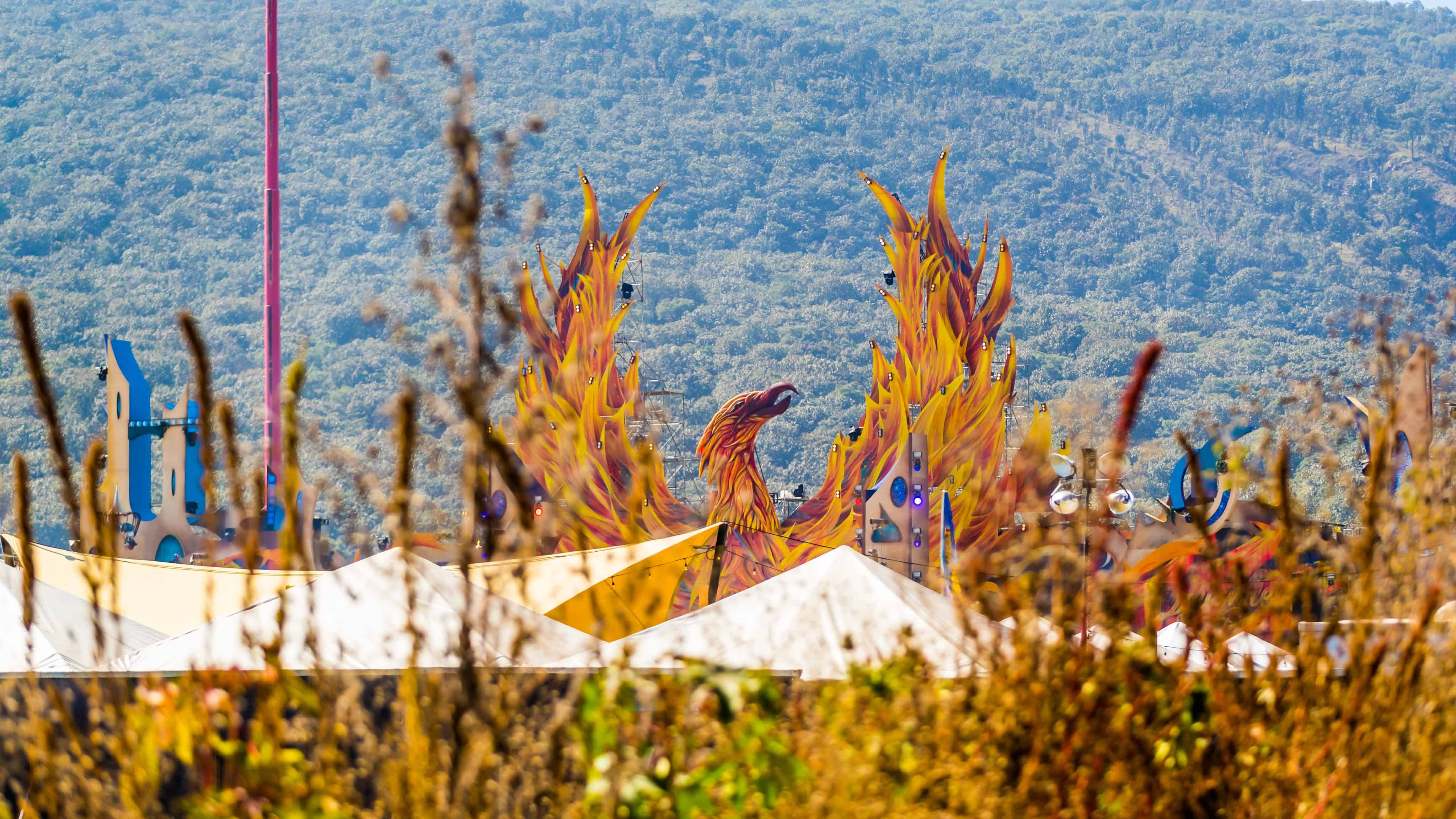 Dreamfields Mexico 2018